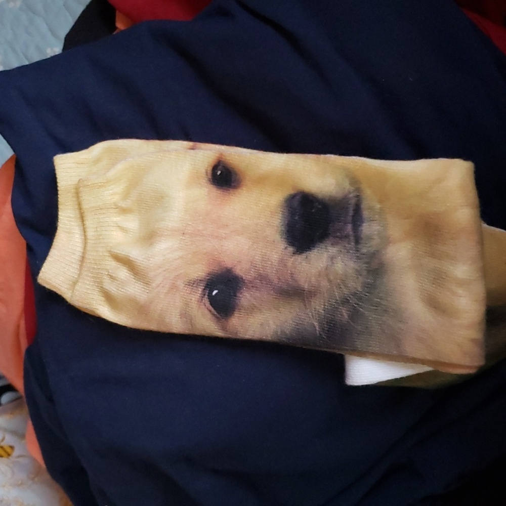 Socks New Doogie socks